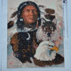 painting, canvas, pearls, diamond, Indian, wolf, eagle, 25 H / 20 L CM, finished canvas