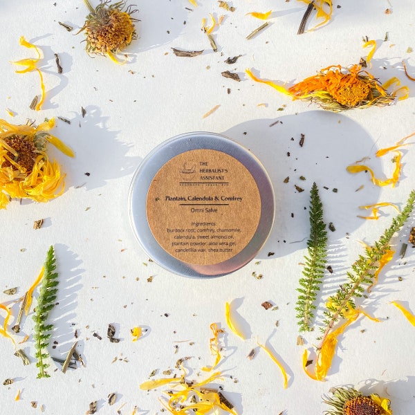 Herbal Omni Salve, Vegan eczema salve Cut Burn salve Bite balm herbal salve calendula hand salve body moisturizer face salve healing salve