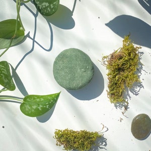 May include: A green round soap bar with a textured surface, surrounded by green moss and a leafy plant on a white background.