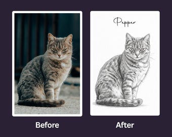 May include: A side-by-side comparison showing a color photograph of a tabby cat on the left and a black and white pencil sketch of the same cat on the right. The sketch features the name Pepper written in cursive script above the cat's head.