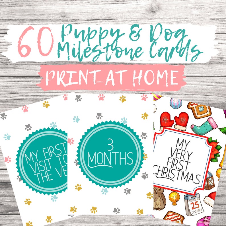 PRINTABLE Puppy Milestone Cards Dog Milestone Cards Pet Etsy PRINTABLE Puppy Milestone Cards Dog Milestone Cards Pet Etsy