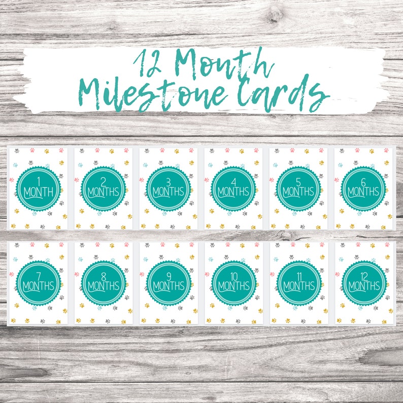 May include: Twelve printable milestone cards for a baby's first year. Each card features a turquoise circle with a white number and the word "MONTHS" in white text. The background of each card is white with a pattern of colorful paw prints.