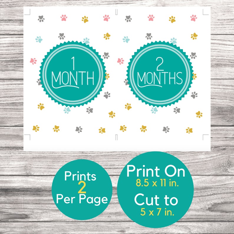 May include: Printable baby milestone cards featuring paw prints in pink, gray, and gold. The cards are designed for a baby's first two months and feature the text "1 Month" and "2 Months". The cards are designed to be printed on 8.5 x 11 inch paper and cut to 5 x 7 inches. The text "Prints 2 Per Page" is also included.