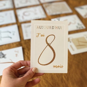 Cartes étapes bébé animaux de la savane image 5