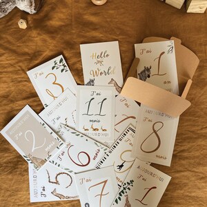 Cartes étapes bébé animaux de la savane image 7