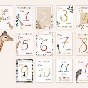 Cartes étapes bébé animaux de la savane image 4