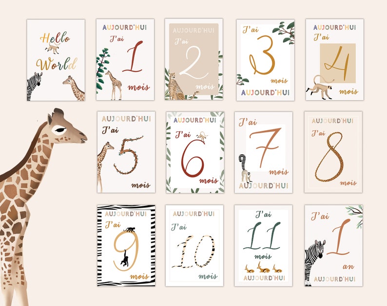 Cartes étapes bébé animaux de la savane image 4