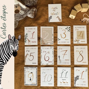 Cartes étapes bébé animaux de la savane image 3