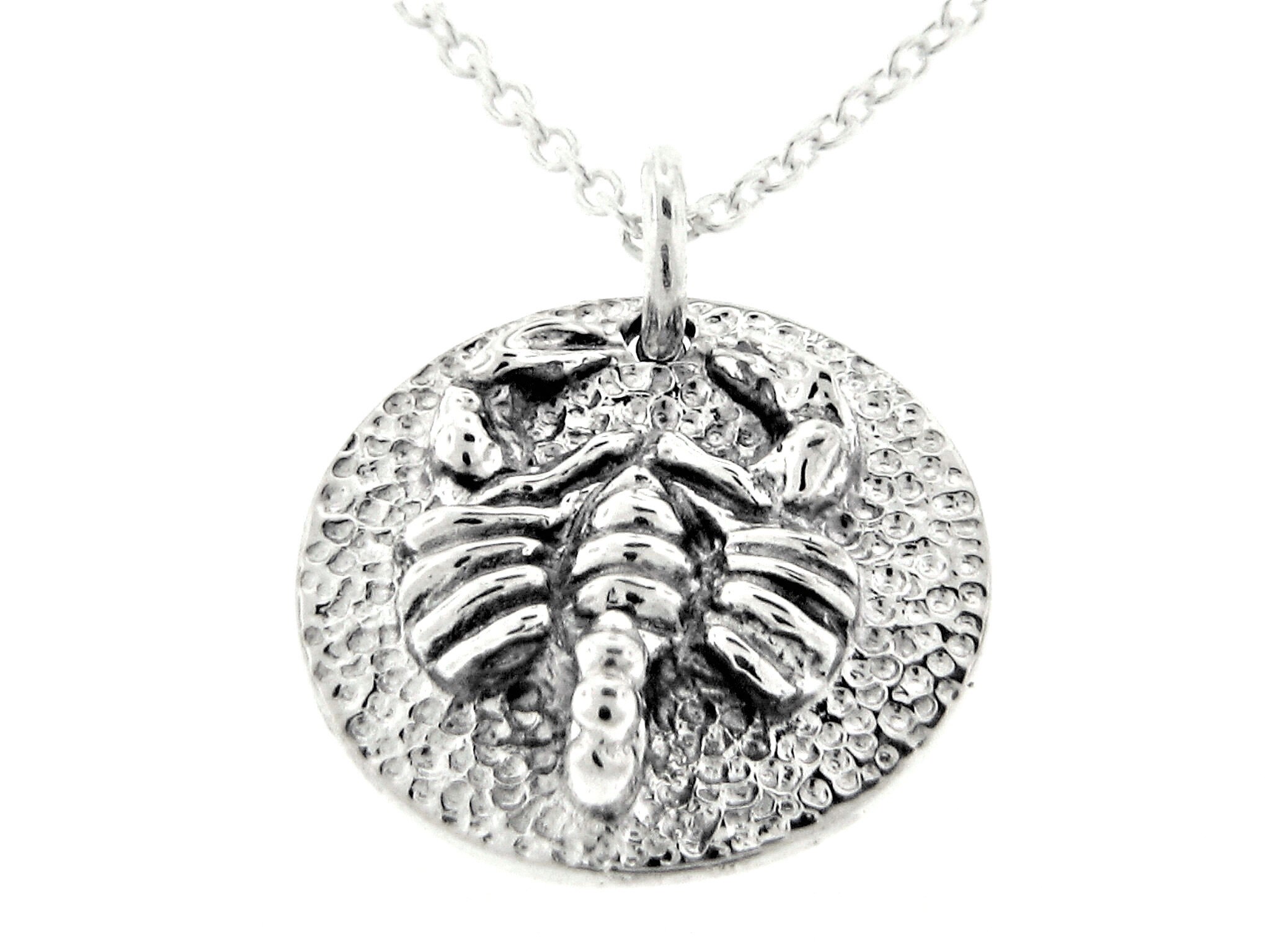 Silver Zodiac Sign Necklace, Zodiac Sign Jewelry, Zodiac Pendant