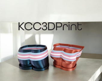 Doniczka Trans Tiddy i Booty w zestawie z rośliną doniczkową