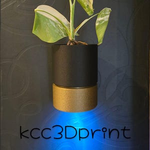 Op de afbeelding: Een zwarte en gouden plantenbak met een plant met groen-witte bladeren. De plantenbak is cilindrisch, met een zwart bovenstuk en een gouden onderstuk. De tekst "kcc3Dprint" is onderaan zichtbaar, met blauw licht dat de plantenbak verlicht.