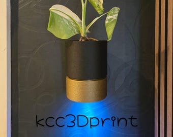Plant Pot with Mood/Ambient Lighting, Removable Water Dish, Wall Mounted Remote Controlled LED Lamp