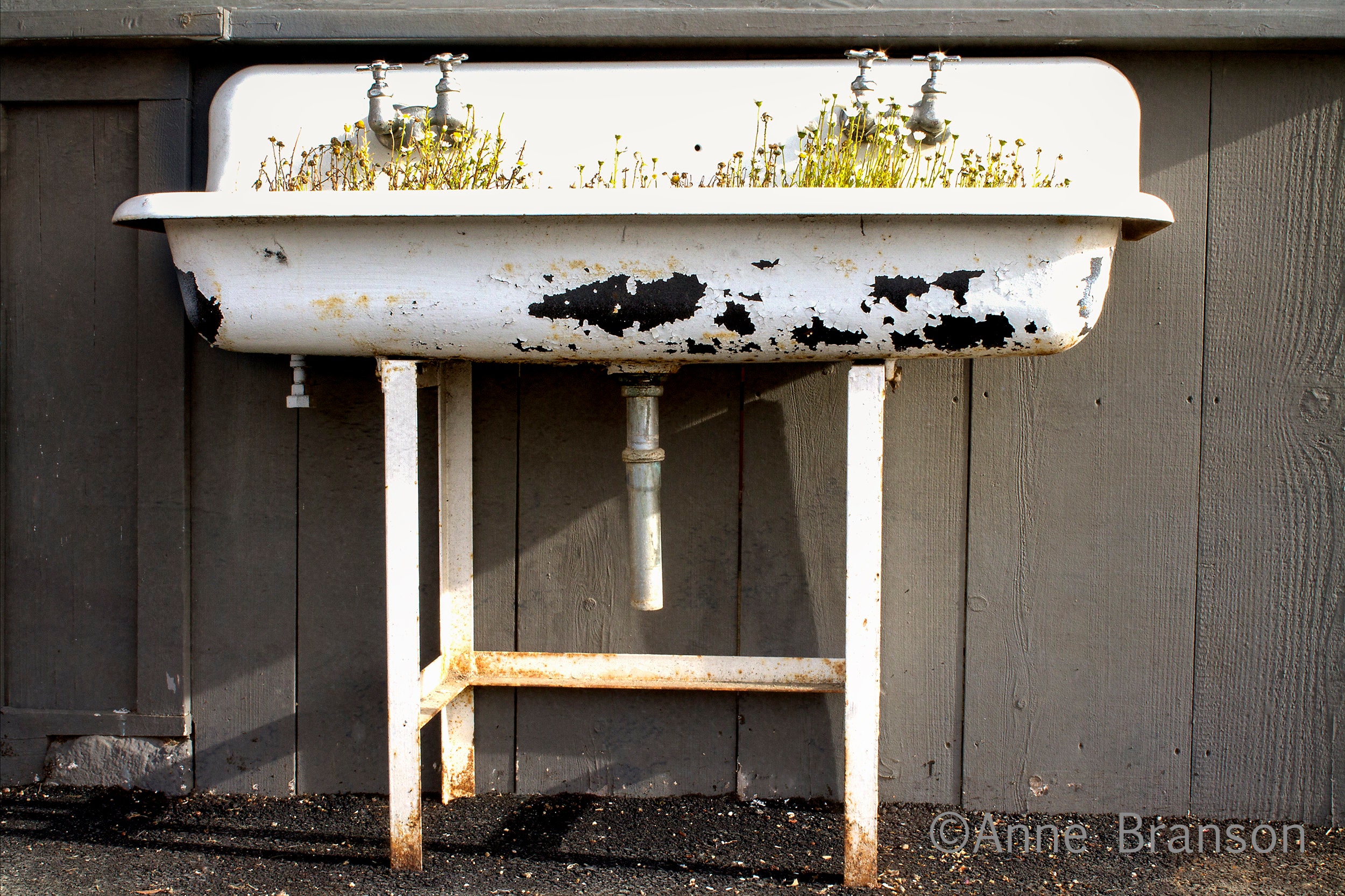 Old Sink Antique Sink Vintage Sink With Wildflowers Etsy