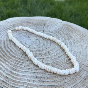 May include: A white shell necklace with a silver clasp, resting on a wooden surface. The necklace is made of small, flat, circular shells strung together. The background is blurred green grass.