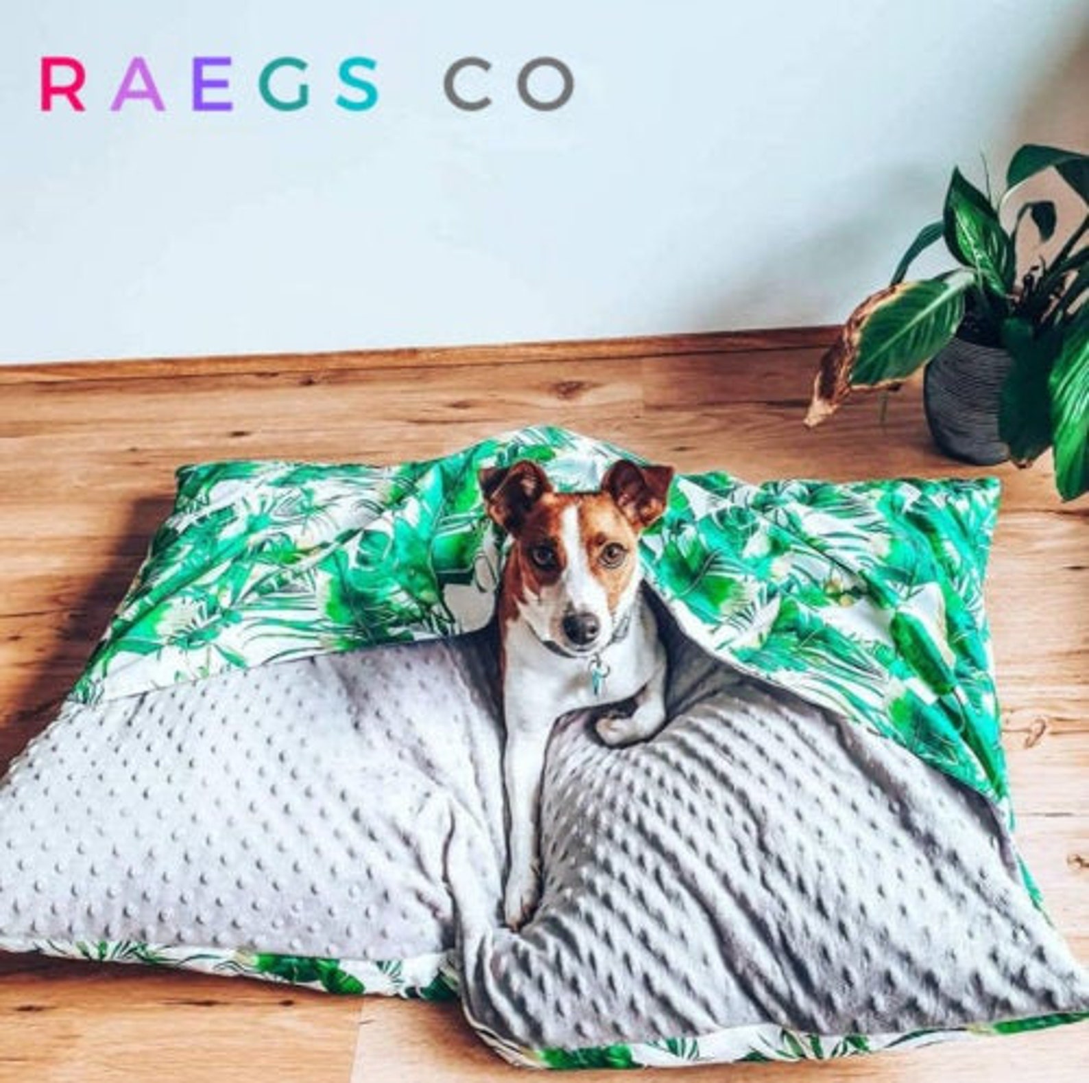 4 Cozy Dog Cave Beds For Australians Dogs of Australia