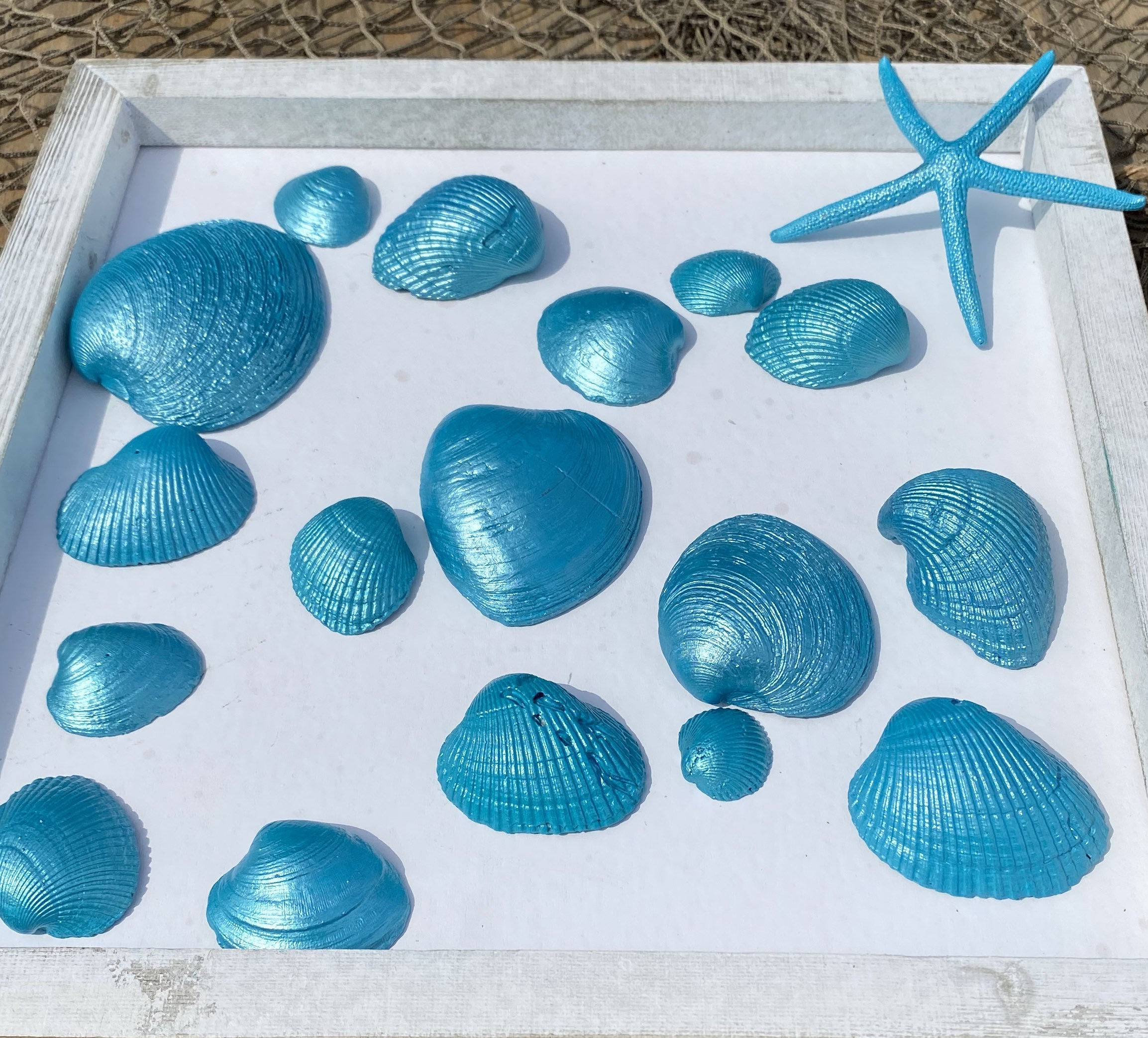 Handbemalte Muscheln & Seesterne: Carolina Beach Decor