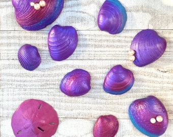 10 Majestätische mehrfarbige tropische Muscheln und Sanddollar für Themenhochzeit, Party oder Basteln