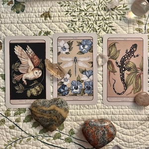 Lectura del Oráculo de los Guardianes del Bosque: Guía y Perspicacia Espiritual