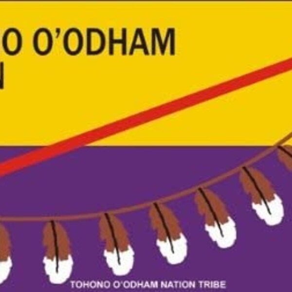 TOHONO O'ODHAM FLAG Tribe Metal License Plate - Tribal Native American Reservation Papagos Desert People Craft Supply