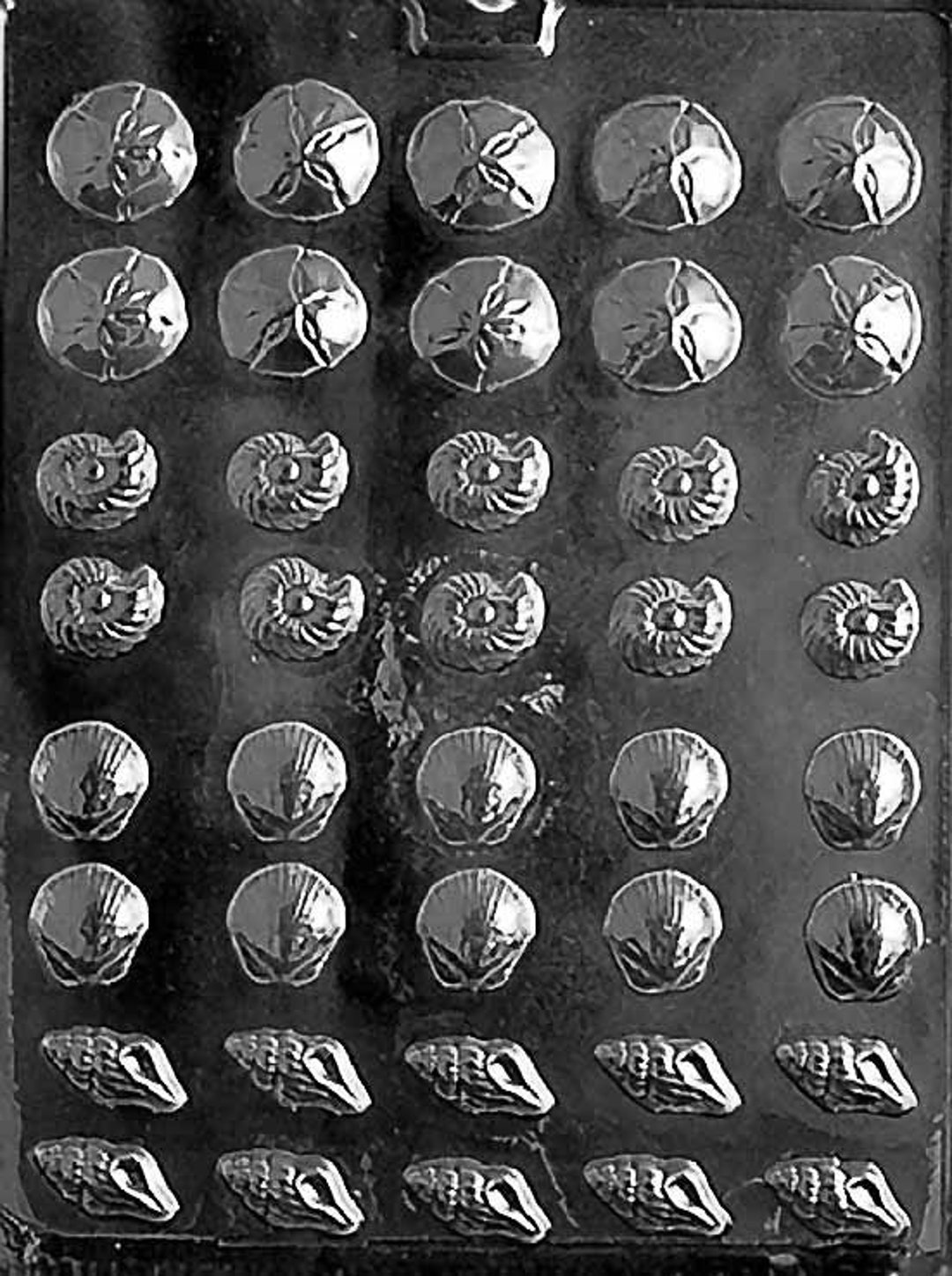 TINY SHELL ASSORTMENT Chocolate Candy Mold Craft Supply - Etsy