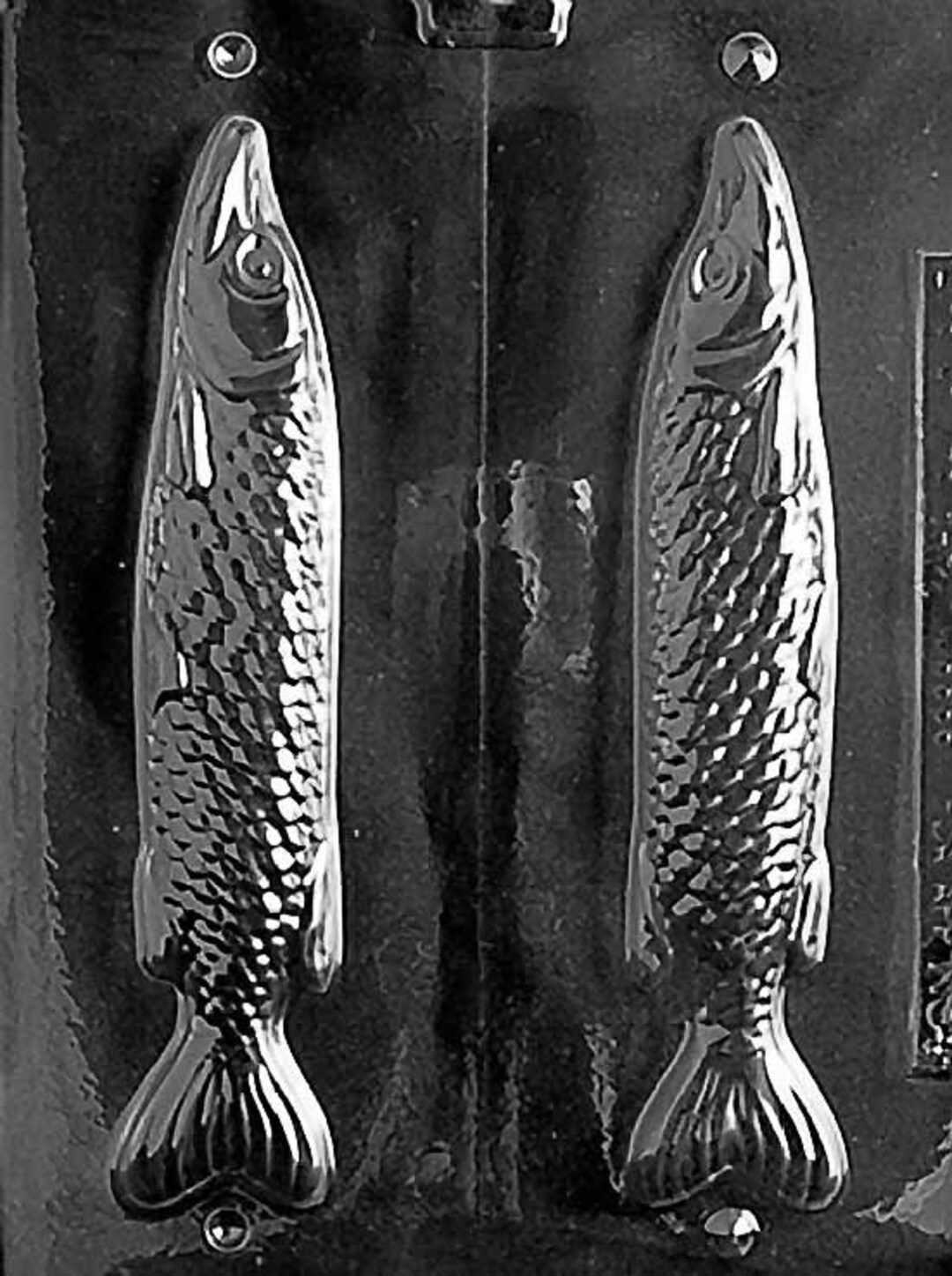 MEDIUM 3D FISH Chocolate Candy Mold Craft Supply Etsy