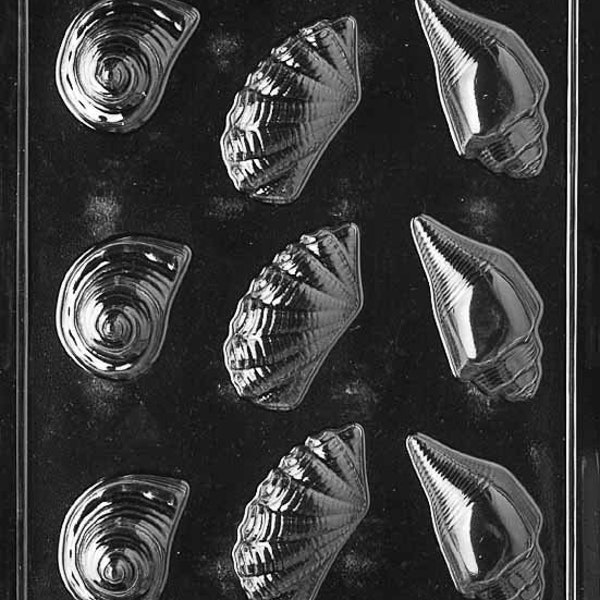 SHELL ASSORTMENT Chocolate Candy Mold Craft Supply