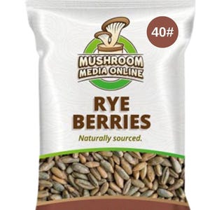 Whole Rye Berries by Mushroom Media Online