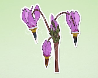 Shootingstar Flower Sticker, Pegatinas de portátiles, Regalos para amantes de la naturaleza, Ideas de regalos de la isla de Vancouver, Obras de arte botánicas, Estética de la costa oeste