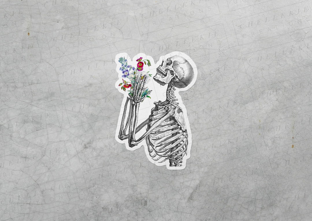 Skeleton Parts Sticker Skeleton Sticker, Human Anatomy Sticker, Laptop Stickers, Vintage ...