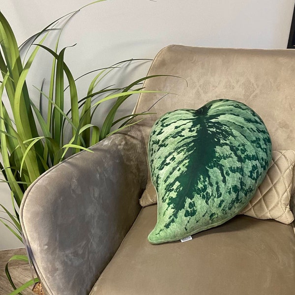 Scindapsus plant pillow / scindapsus cushion / scindapsus pictus / scindapsus exotica / plant pillow / plant lover gift / plant cushion