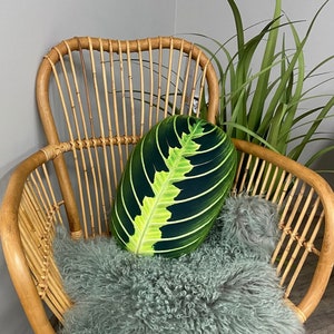 Poduszka Maranta Lemon Lime / poduszka Maranta / roślina modlitewna / Maranta leuconeura / poduszka roślinna / poduszka z liści / poduszka Maranta