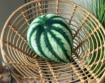 Peperomia watermelon pillow / peperomia argyreia pillow/ plant pillow / leaf pillow / plant gift / urban jungle / houseplants