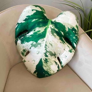 Variegated Monstera pillow / monstera leaf pillow / monstera variegata plant / albo monstera / variegata monstera cushion / plant pillow