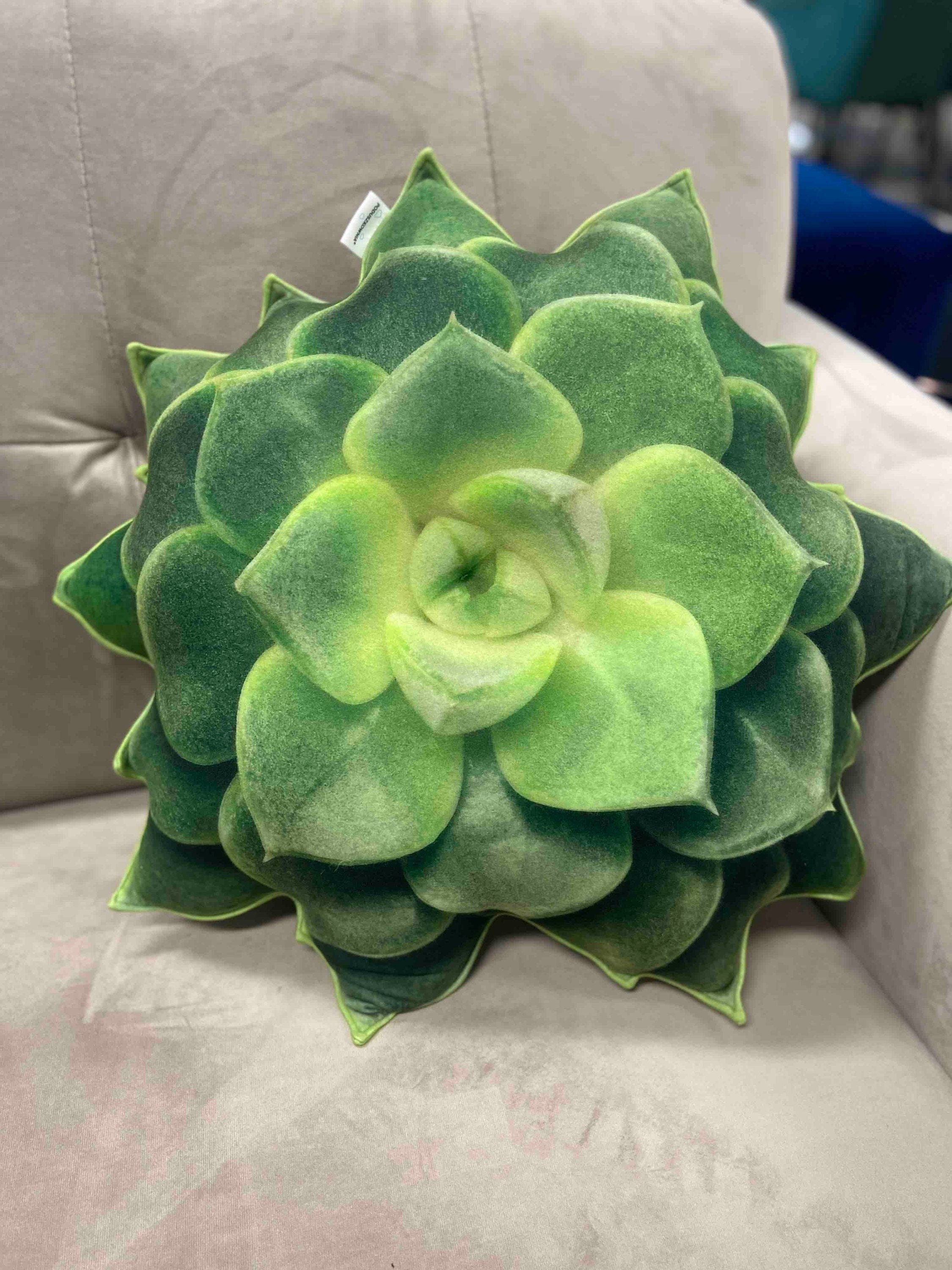 Succulent Pillow / Green Succulent / Echeveria Pillow / Plant Etsy