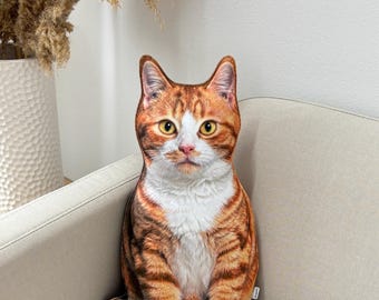 Ginger Cat pillow, 3d pet cushion, orange cat tabby