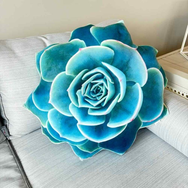 Succulent turquoise / Succulent Echeveria / Echeveria cushion / plant pillow / cactus pillow