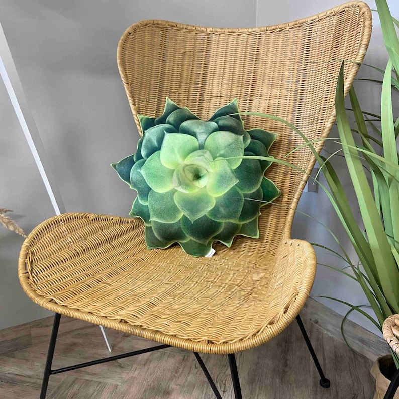 succulent green pillow