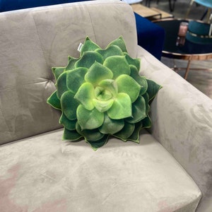 succulent pillow