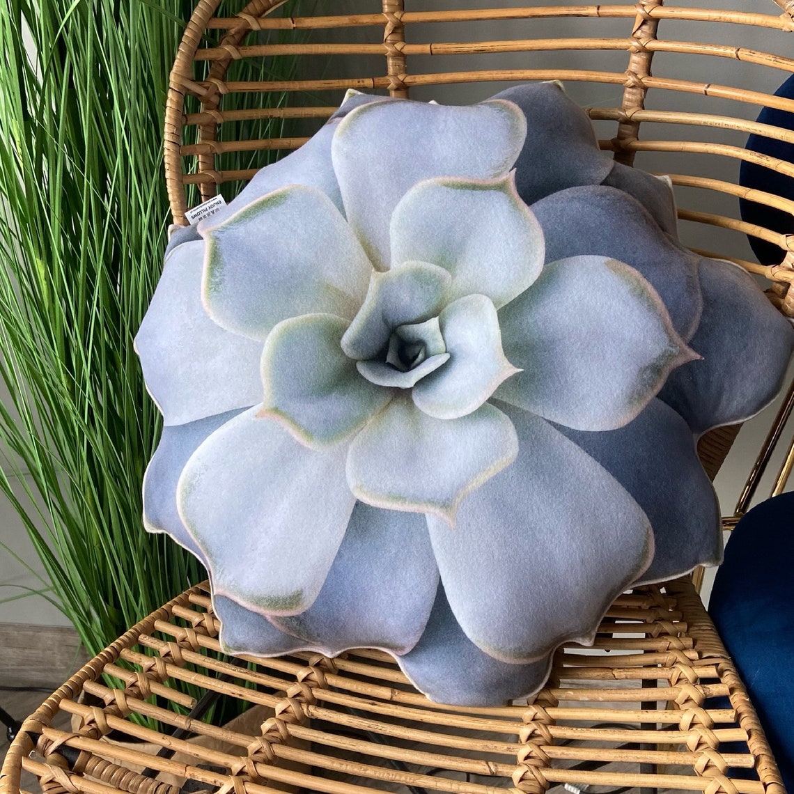Succulent pillow / echeveria pillow / plant pillow / succulent Etsy