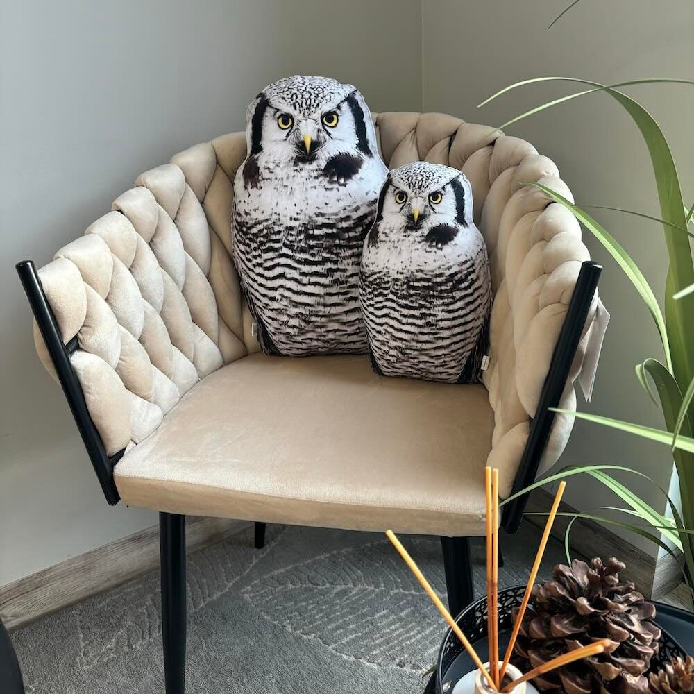 Owl pillow / Northern Hawk owl / bird pillow / owl gift / Canadian owl / Eulenkissen / Surnia ulula 