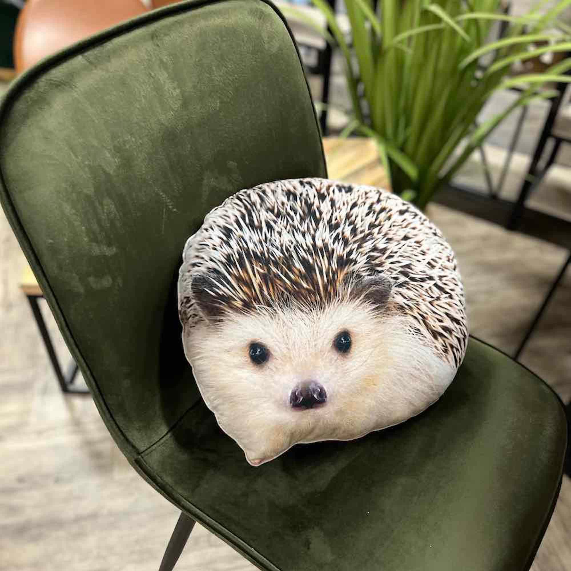 Hedgehog top cushion cover