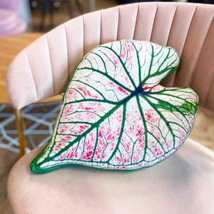 Caladium Pillow / Caladium leaf/ Fancy Leaf pillow / rare caladium / strawberry star caladium / pillow plant/ plant lover gift/ urban jungle