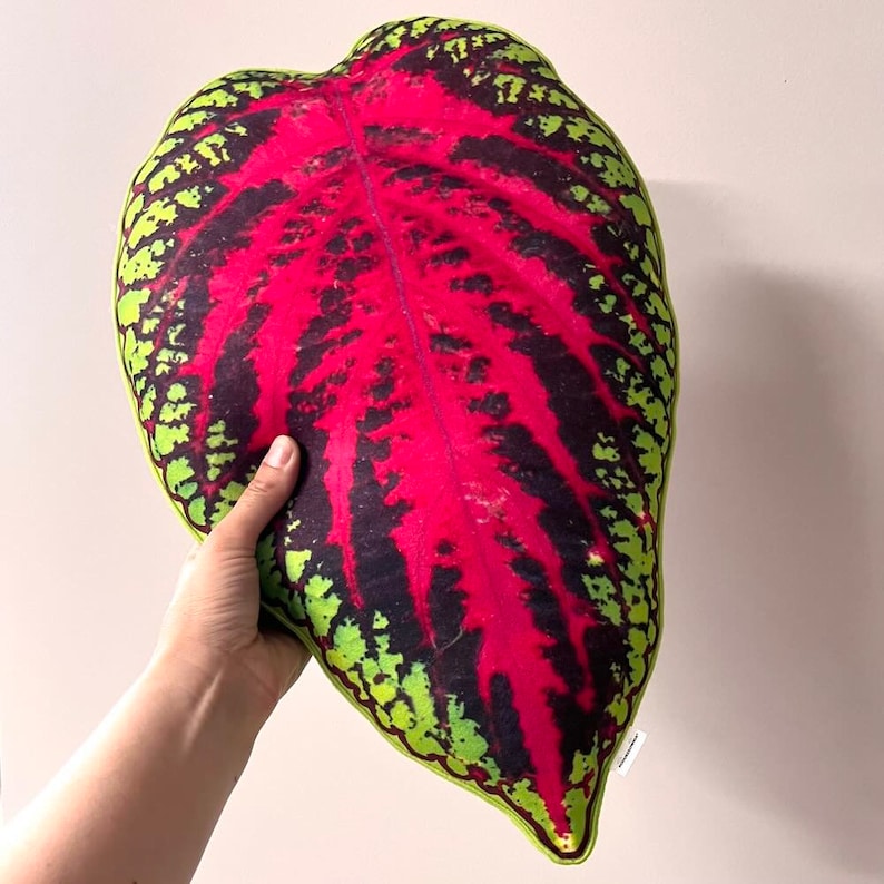 coleus Blattkissen