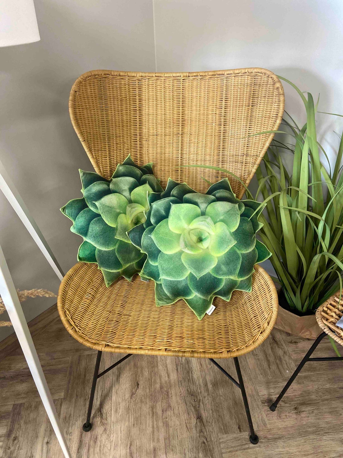 Succulent pillow / green succulent / Echeveria pillow / plant Etsy