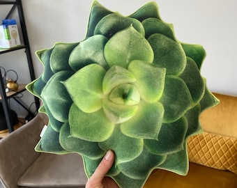 succulent green pillow small  / echeveria pillow / succulent cushion / plant / plant lover / succulent gift