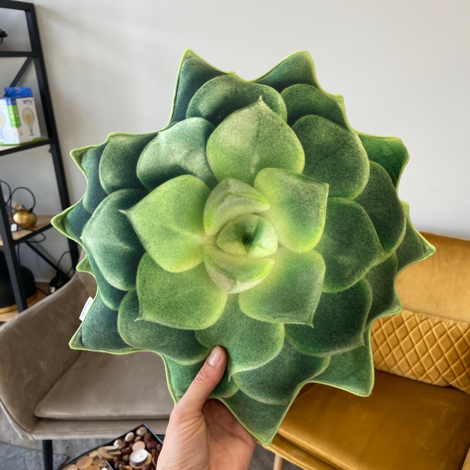 succulent cushion