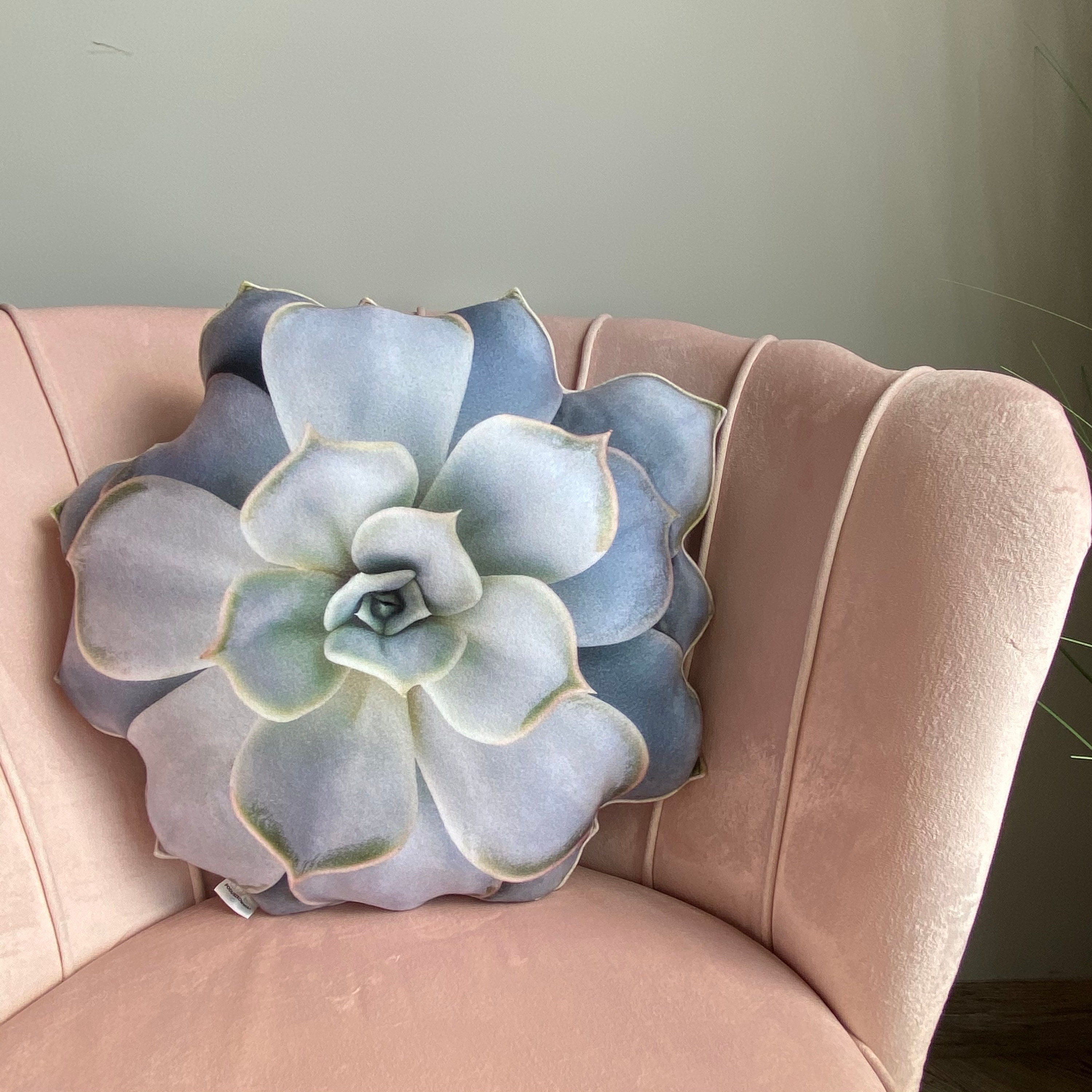 Succulent Pillow Echeveria Pillow Plant Pillow Succulent Etsy Singapore