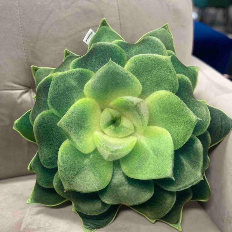 succulent pillow