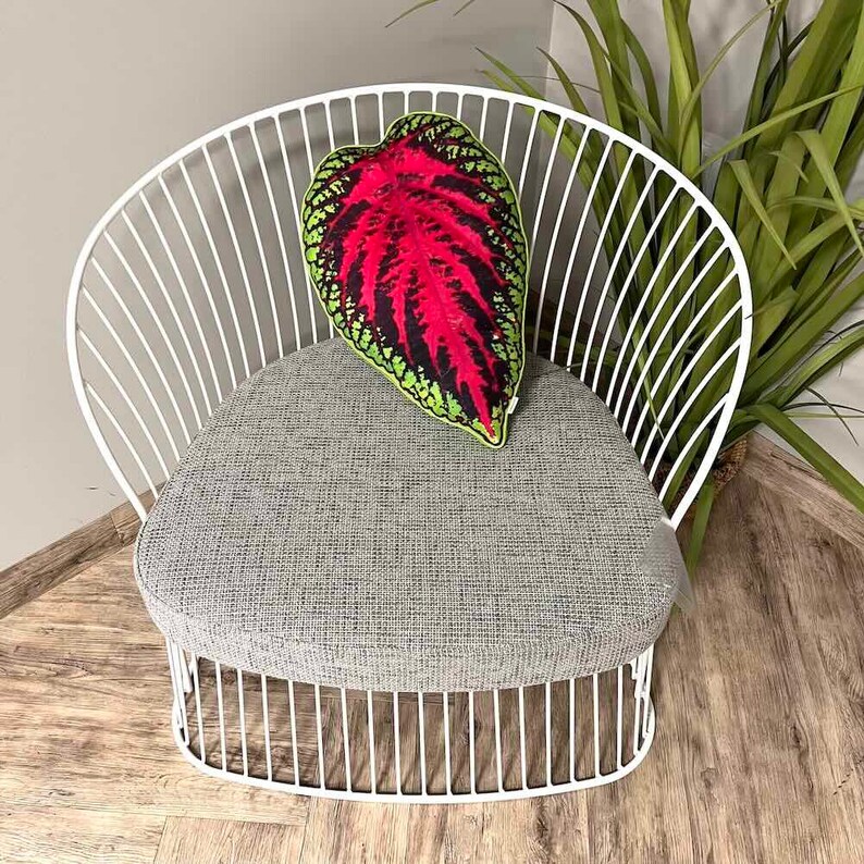 coleus leaf