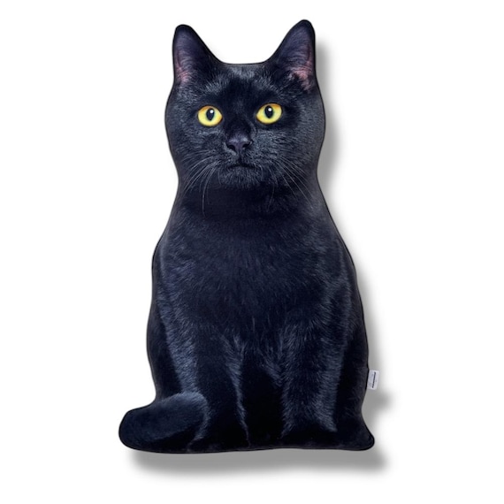 置物 TOMOTAKE Cat Cushion nero Tomotake/動物クッション（ネロ）